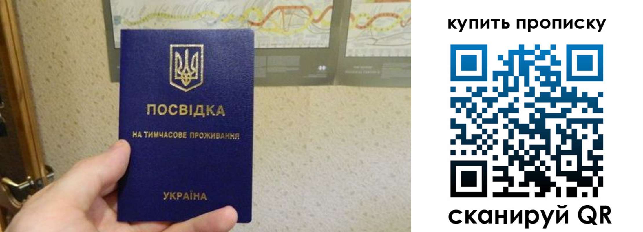 временная регистрация поиск в Бирске